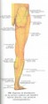 /album/laminario-/a900-jpg/